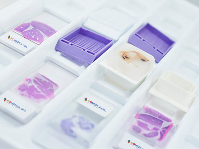Biospecimen types - TISSUE SAMPLES
