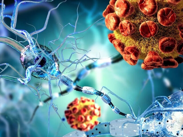 COVID-19 can infect brain cells: study