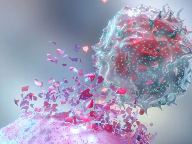 Natural killers: Using the body's cells to target breast cancer