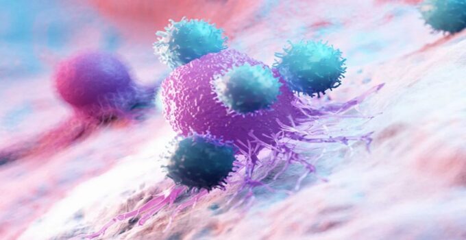 At BIOMEDICA CRO we collect various human biospecimens for cancer research and other studies. It is feasible to provide tissue samples (tumor/NAT FFPE blocks, fresh frozen tissue samples, histological slides, and lymph nodes), blood samples (plasma, serum, buffy coat, PBMC) and other biofluids from donors with oncological conditions.