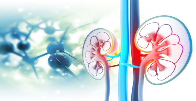 Chronic Kidney Disease biospecimens collection for your research by BIOMEDICA CRO