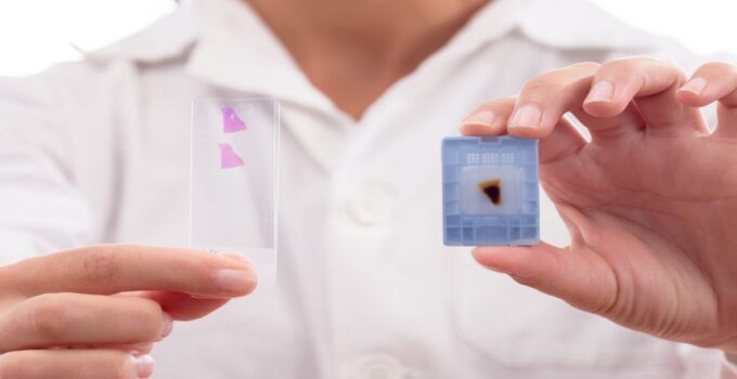 Human biospecimens collection for in vitro studies by BIOMEDICA CRO – trusted provider since 2017.