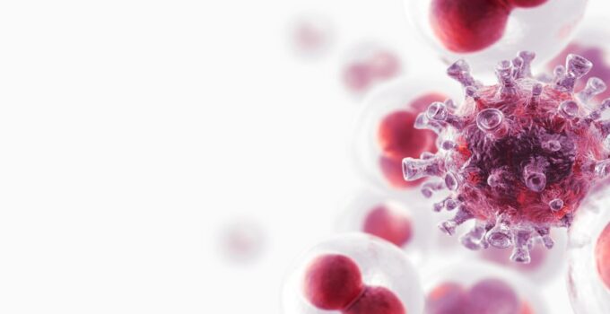 At BIOMEDICA CRO we routinely collect hundreds of human biospecimens with valuable and precise clinical data for pharmaceutical companies and diagnostic centers worldwide.