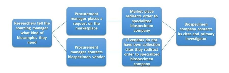 &bull; BIOMEDICA CRO