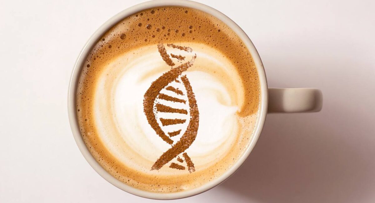 'Quality is our DNA' principle – an integral part of BIOMEDICA CRO in biospecimens collection & project management