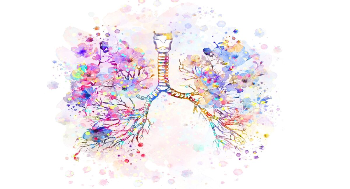 Lung Cancer Biospecimens. BIOMEDICA CRO is fully prepared to support Lung cancer research – contact us to order biospecimens with associated data and explore the benefits of cooperating with us directly.