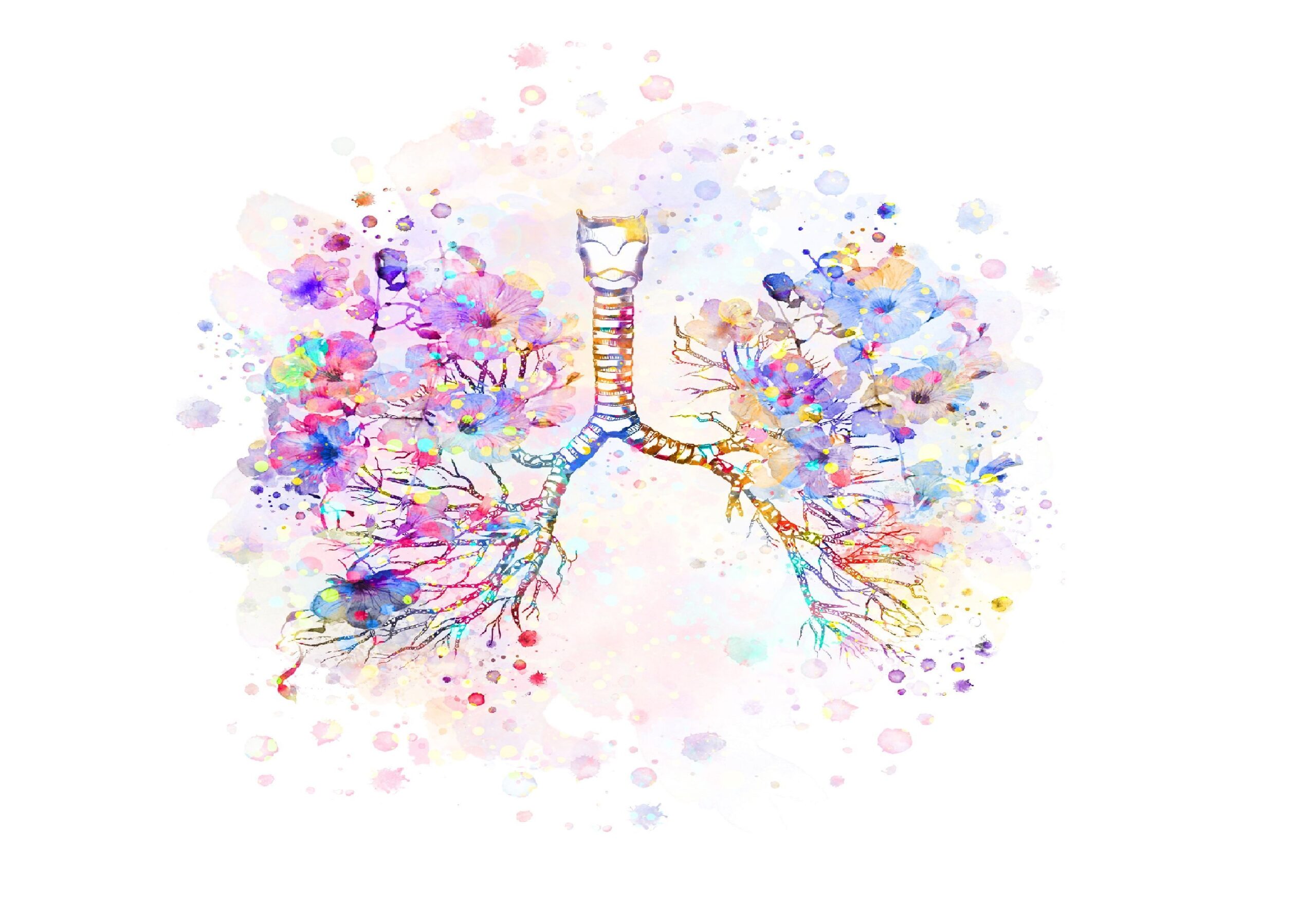 Lung Cancer Biospecimens. BIOMEDICA CRO is fully prepared to support Lung cancer research – contact us to order biospecimens with associated data and explore the benefits of cooperating with us directly.