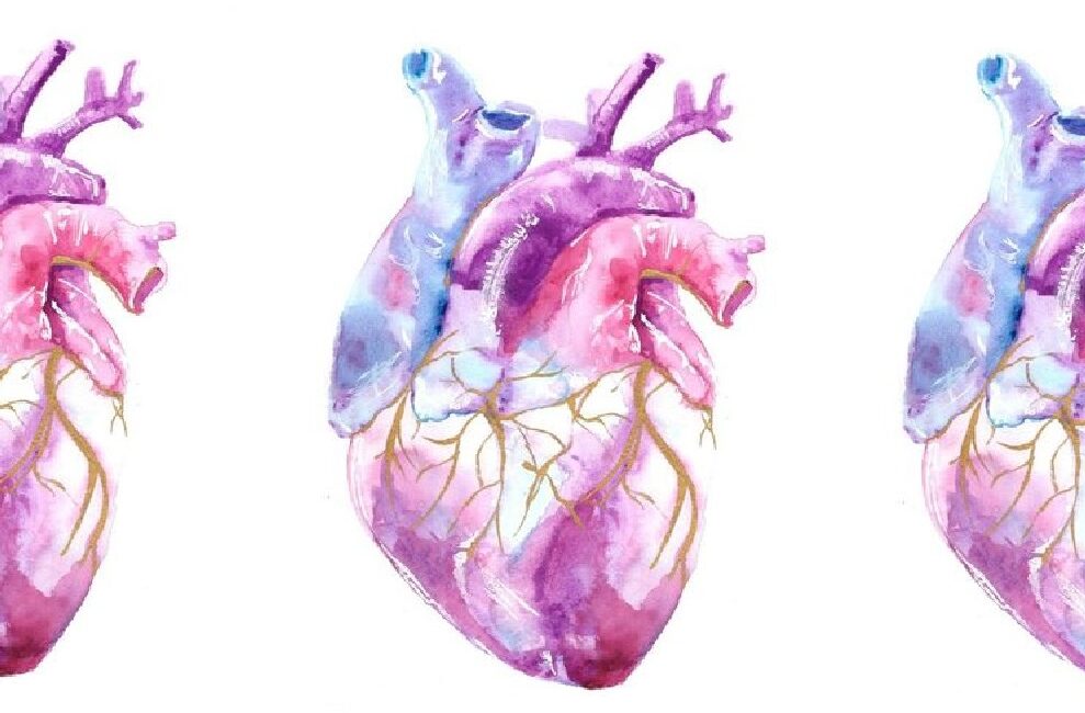 BIOMEDICA CRO: we specialize in human biological specimens and data collection for further research. Cardiovascular, autoimmune, oncological and other diseases. Blood, PBMCs, saliva, urine, tissue samples, etc. can be collected prospectively or provided from the Inventory.