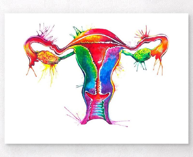BIOMEDICA CRO: biosamples & data collection from subjects positive for Sexually Transmitted Infections (STIs). Chlamydia trachomatis; Mycoplasma genitalium; Mycoplasma hominis; Trichomonas vaginalis; Ureaplasma urealyticum; Human herpesvirus 1/2, others.