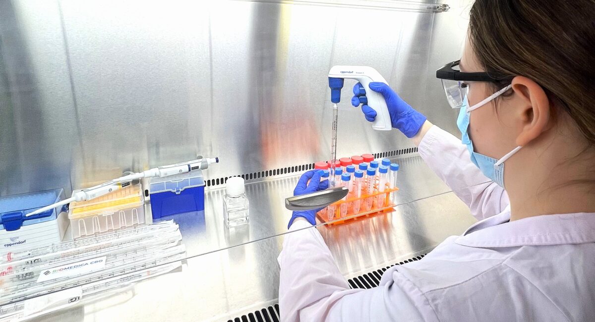 Order PBMCs at BIOMEDICA CRO - your trusted provider of human biosamples & clincial data.