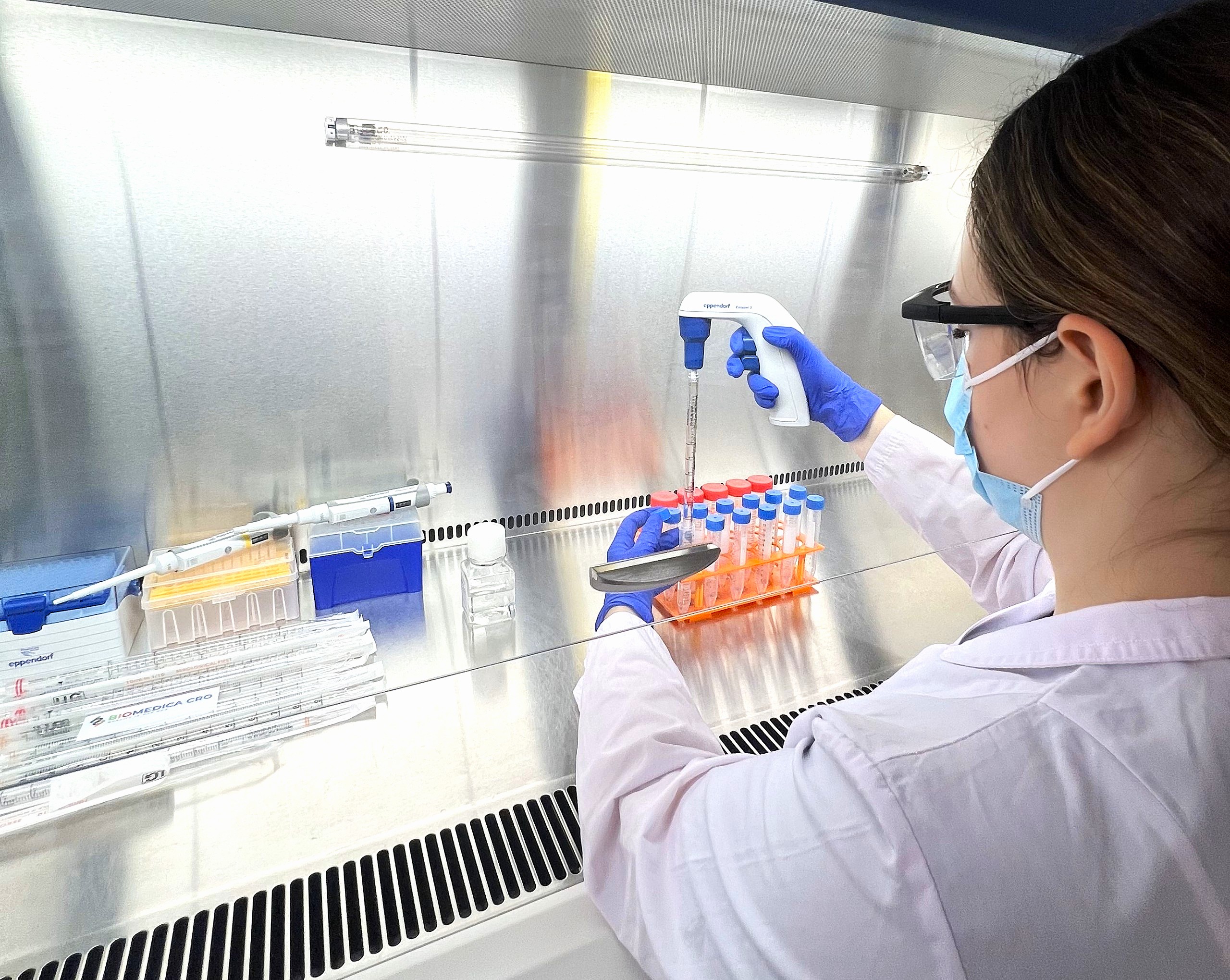 Order PBMCs at BIOMEDICA CRO - your trusted provider of human biosamples & clincial data.
