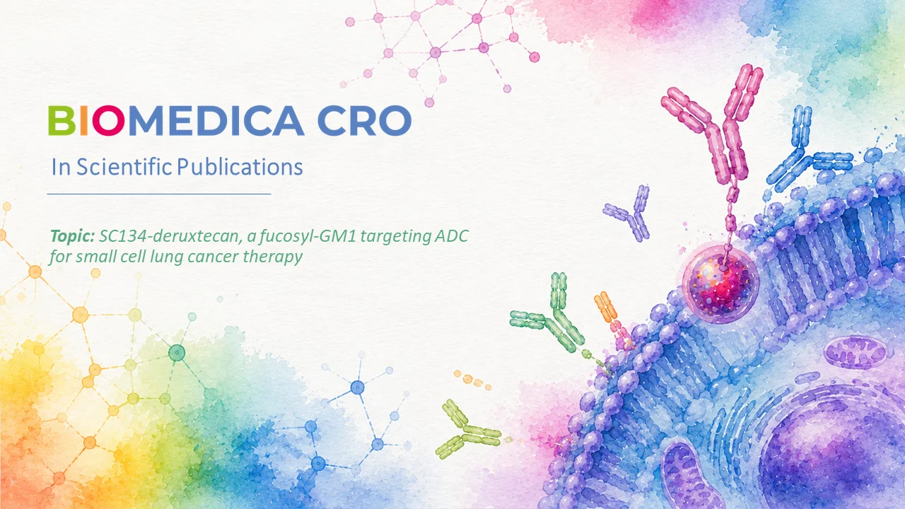 Lung Cancer Biospecimens Supporting Novel SCLC Therapy Research | BIOMEDICA CRO