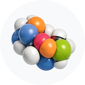 &bull; BIOMEDICA CRO
