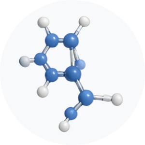 &bull; BIOMEDICA CRO