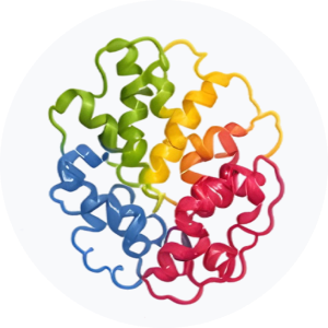 &bull; BIOMEDICA CRO