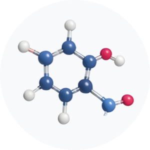 &bull; BIOMEDICA CRO