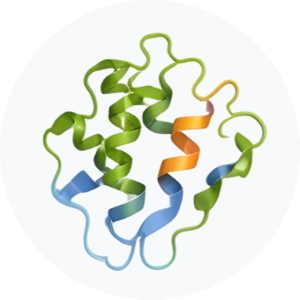 &bull; BIOMEDICA CRO
