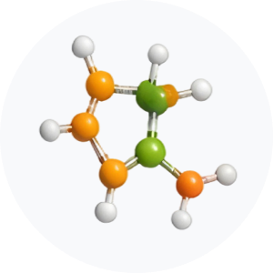 &bull; BIOMEDICA CRO