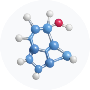 &bull; BIOMEDICA CRO