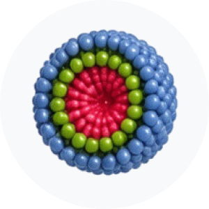 &bull; BIOMEDICA CRO