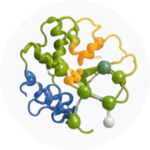 &bull; BIOMEDICA CRO