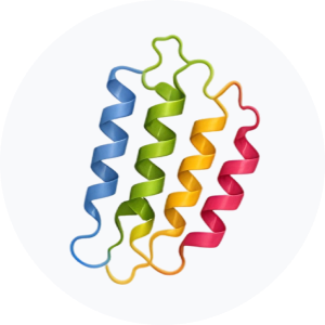 &bull; BIOMEDICA CRO
