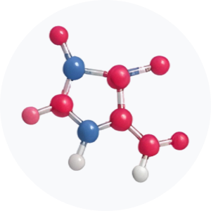 &bull; BIOMEDICA CRO