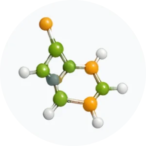 &bull; BIOMEDICA CRO