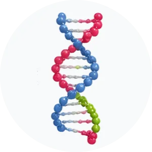 &bull; BIOMEDICA CRO
