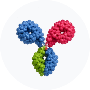 &bull; BIOMEDICA CRO