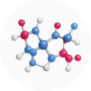 &bull; BIOMEDICA CRO