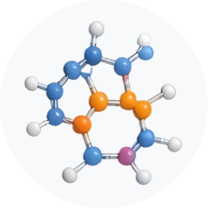 &bull; BIOMEDICA CRO